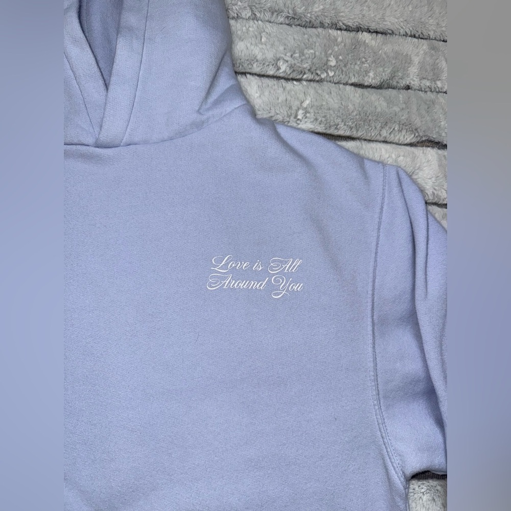 Wild Fable Light Blue Hoodie - Picture 2 of 4